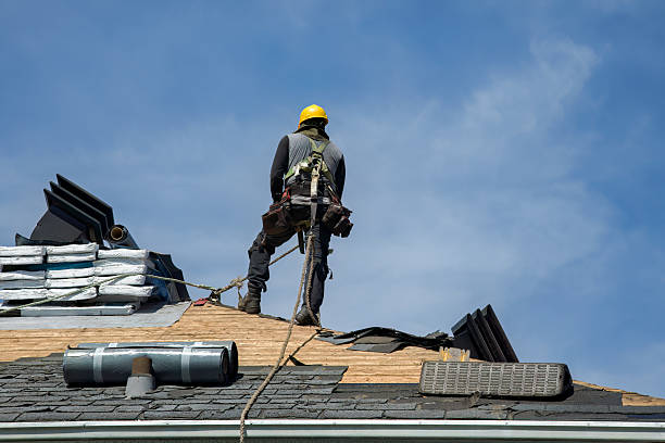 Professional Flat Roof Repair technician working in Joy, IL